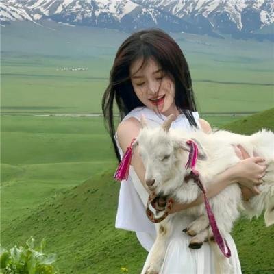 蓝猫龙骑团之炫迪传奇
